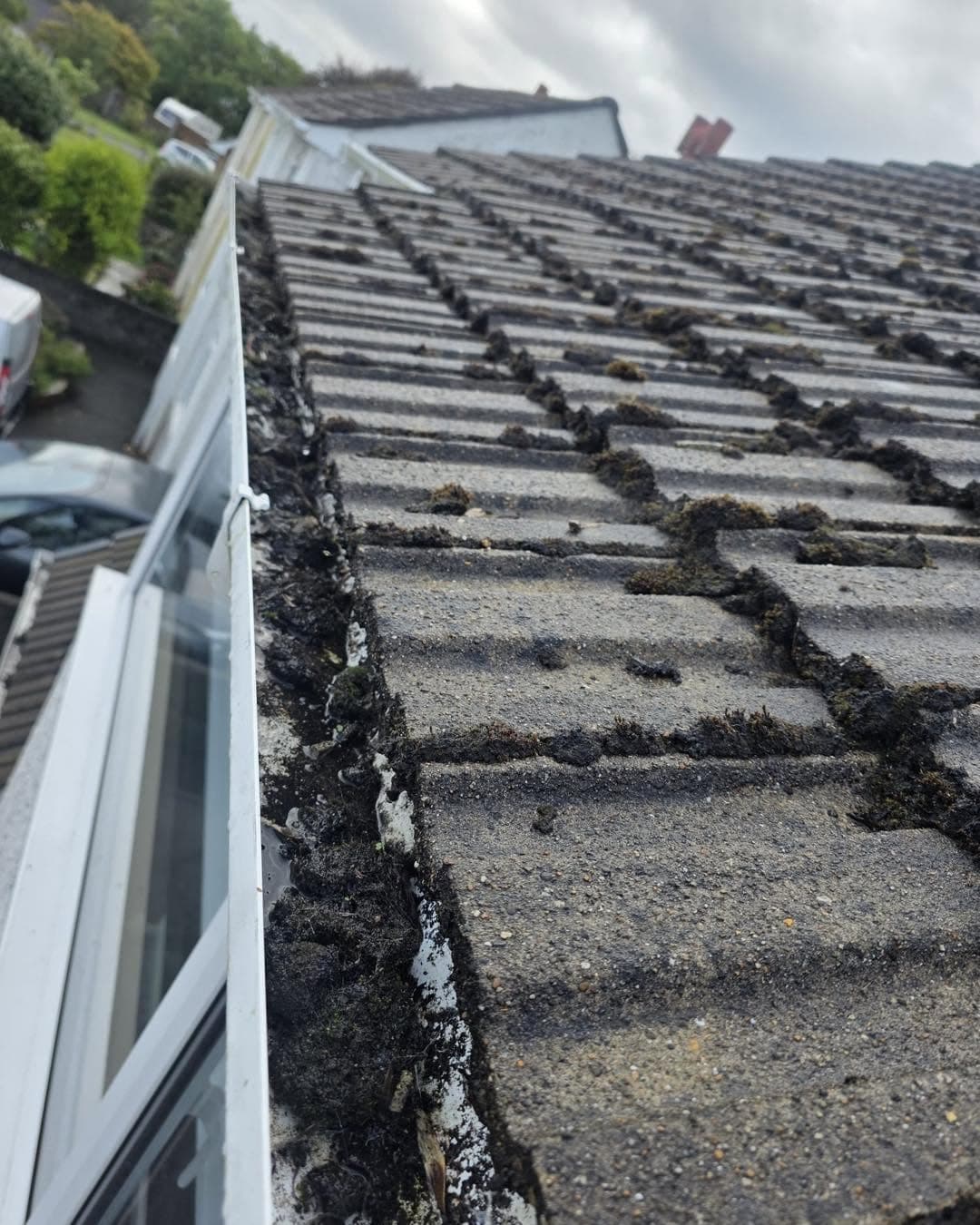 Concrete roof tiles with moss packed along the gutter